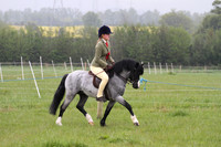 Ridden Class 15a - Intro to showing Juniors