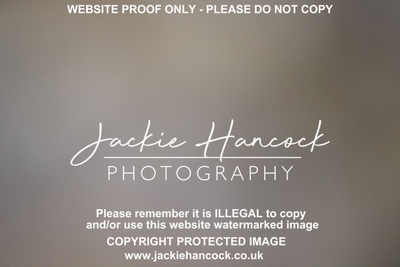 R5JH3052
