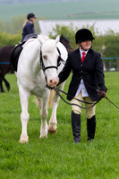 RADRC Show Ring 3 (intro) 20.4.14