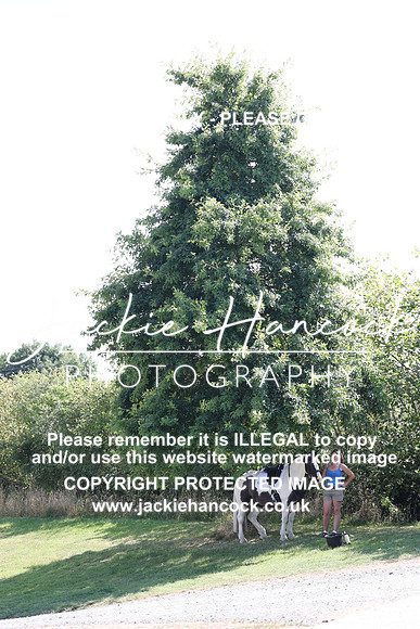 JHP_2279