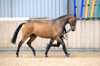 Class 5 - In hand ROR