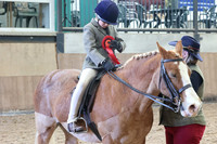 Class 7 - Show Hunter Pony