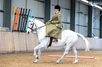Class 12 - Best Riding Horse