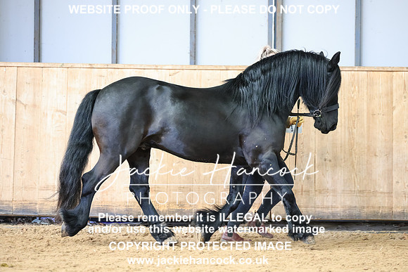 GLP-0503-105436