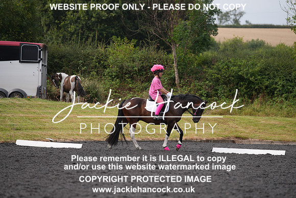 DSC00973
