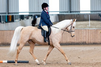 Class 4 - Walk & Trot