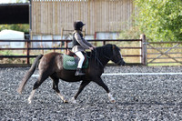 Class 44 - PC D level walk and trot