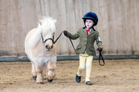 Class 3 - Prettiest Mare/Handsome Gelding