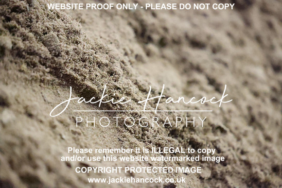 R5JH1784