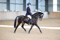Class 8 - Ridden novice pony & rider