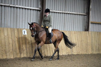 Class 24 - Thoroughbred