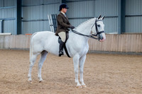 Class 12 - Best Riding Horse