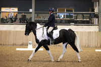 Classes 5 & 6 NOVICE