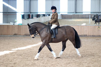 Class 22 - ridden cob