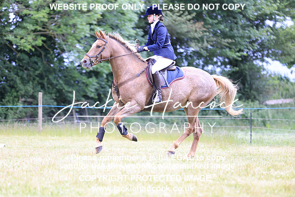 3D3A7043