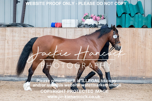 JHP_1066