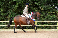 Classes 11 - 16 Championships
