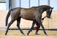 Championships Classes 1 - 5