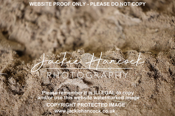 R5JH0435