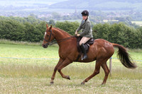 Ridden Showing - Class 9 - Veteran