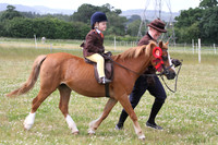 Ridden Showing - Class 1 - Intro to Showing