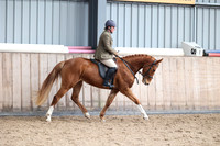 Class 18 - ridden Novice
