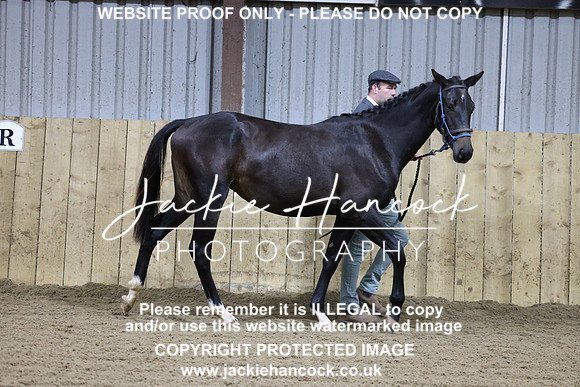 1S8A0064