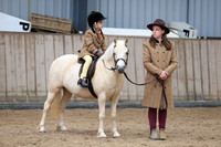 Class 3b - Prettiest mare