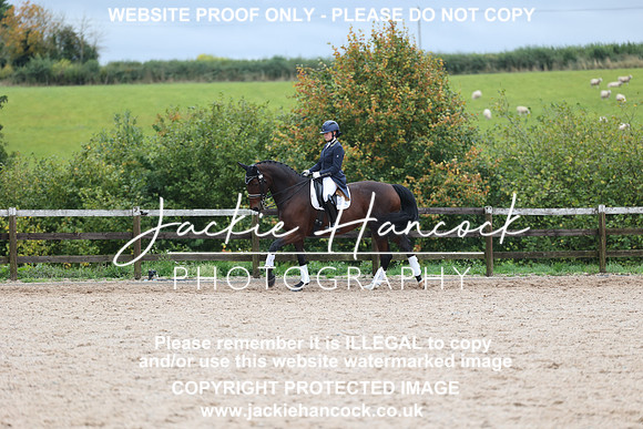 JHP_7354