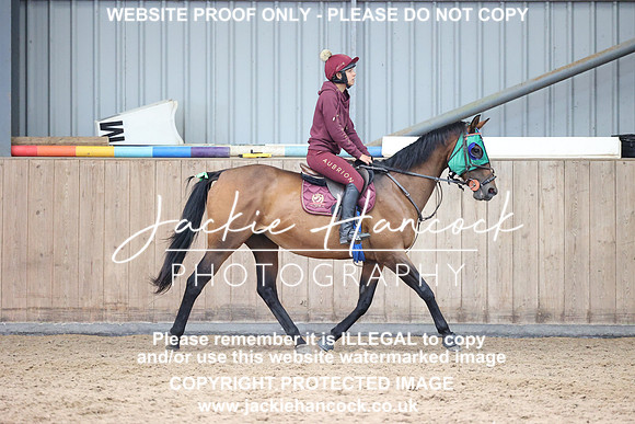 JHP_3010