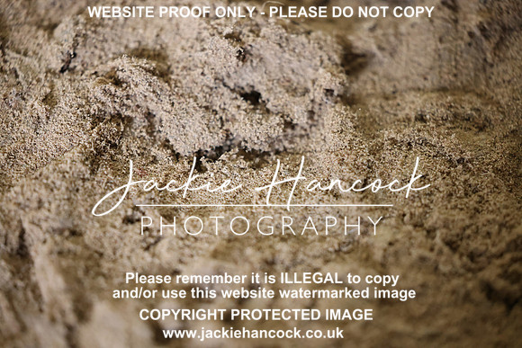 R5JH0891