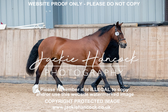 JHP_1064