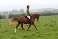 Ridden Class 18 - Best mare/gelding