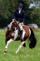 Dressage (Frampton Horse Show 29.6.14)