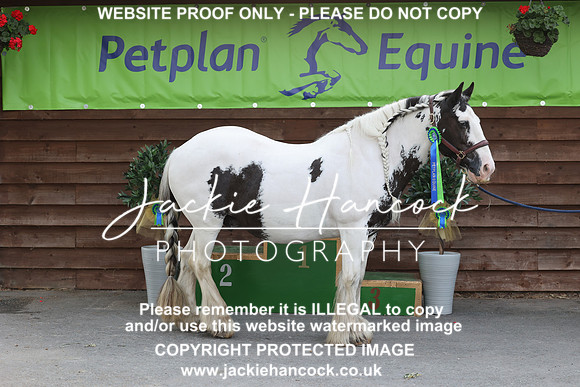 JHP_3154