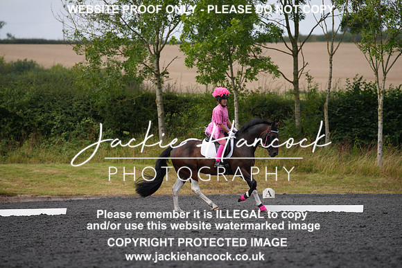 DSC00951