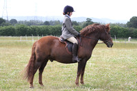 Ridden Showing - Class 4
