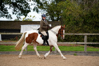 Class 21 - Part Breeds