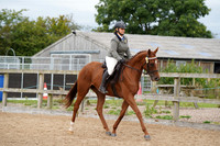 Class 19 - Riding Horse & Hack
