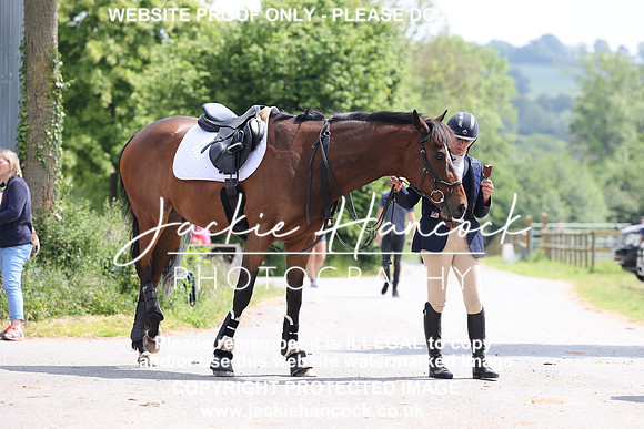 JHP_2014