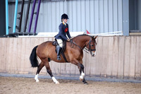 Class 9 - Ridden Cob