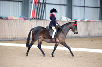 Class 9 - first ridden pony