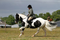 Ridden Showing - Class 3