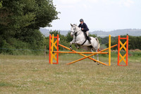 Show jumping - partly covered from a distance