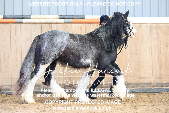 GLP-0503-092103