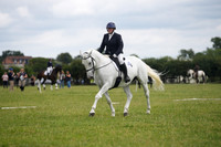 NOVICE 23