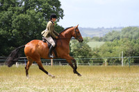 Ridden Showing - Class 5