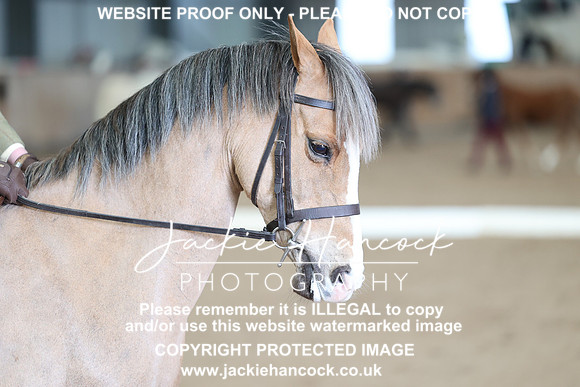 JHP_0431