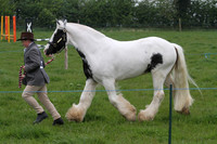 In Hand Class 11 - Cobs and Cob type