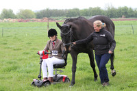 In Hand Class 7 - Intro to Showing
